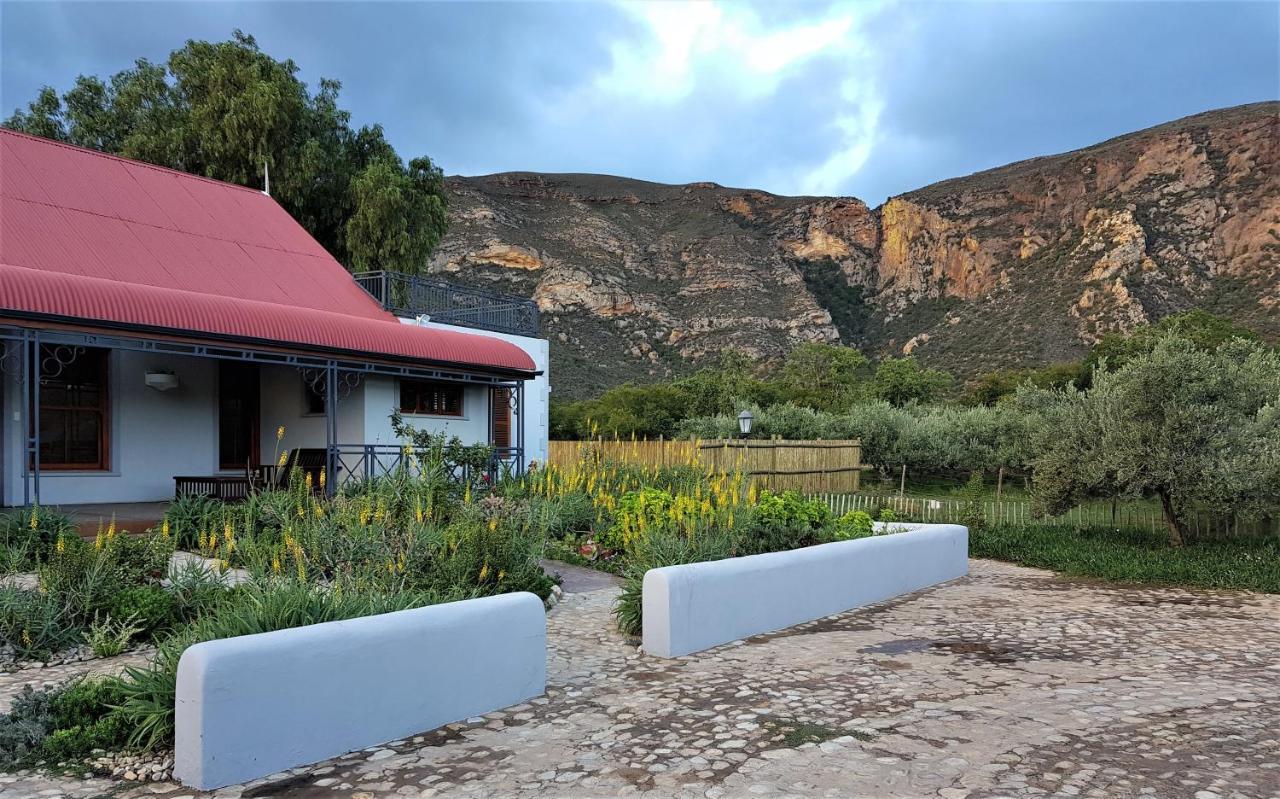 Baviaanskloof Landhuis Studtis Extérieur photo