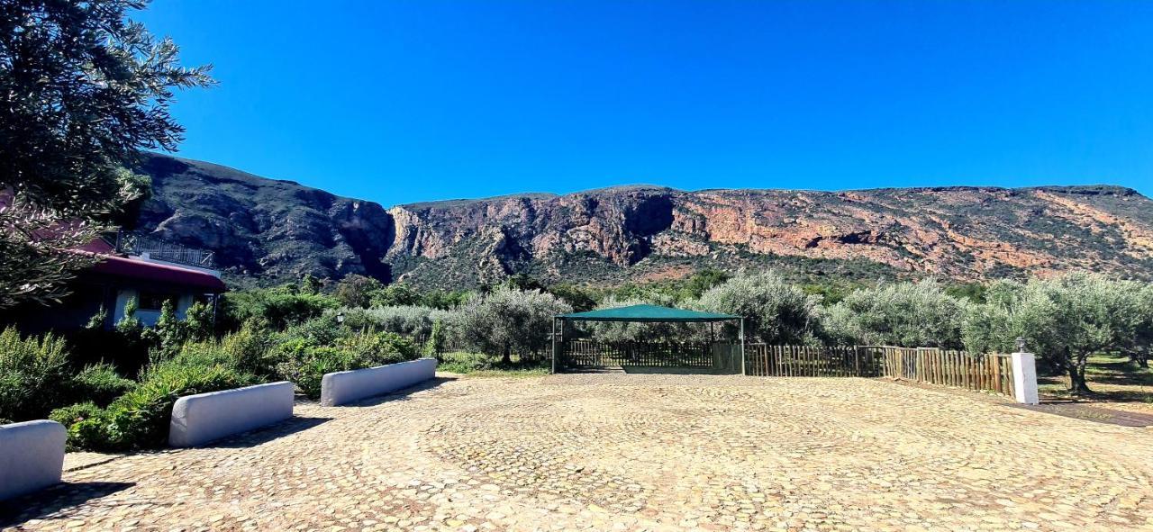 Baviaanskloof Landhuis Studtis Extérieur photo